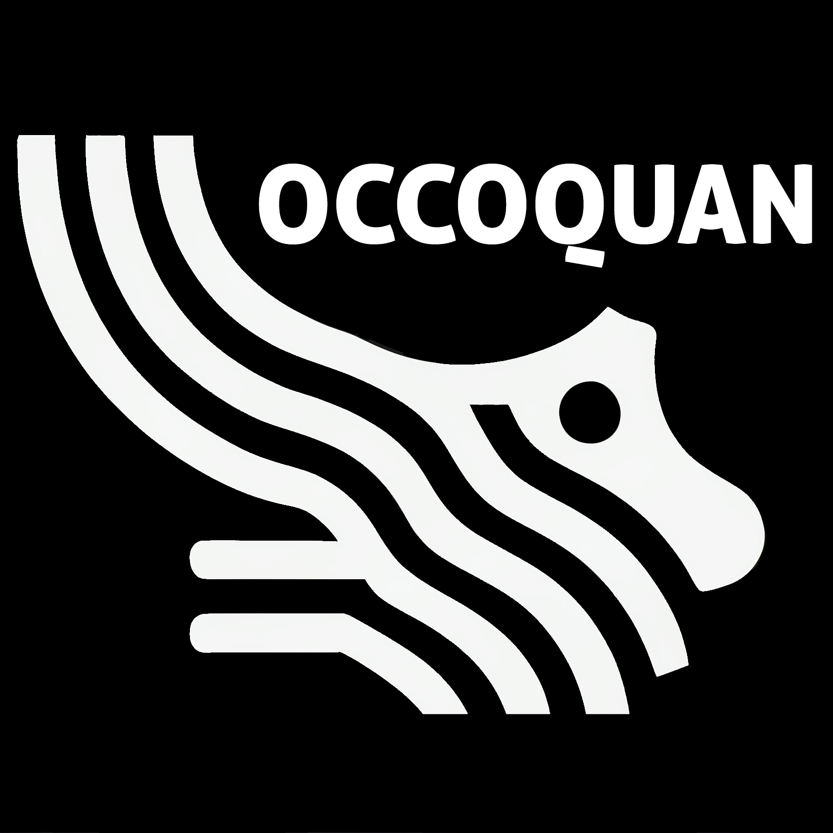 Occoquan Capital